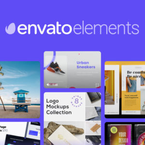 WP Themes and Plugins